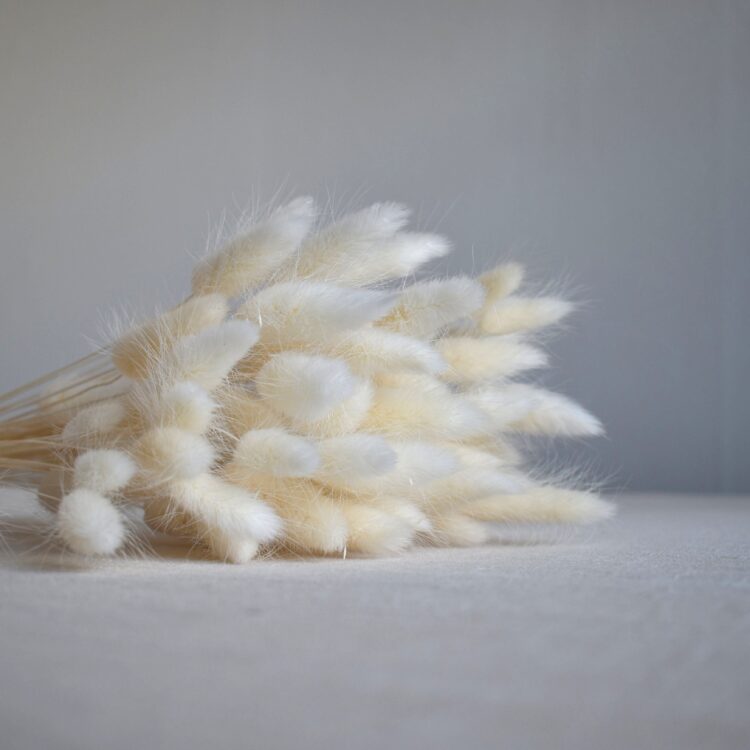 Dmuszek jajowaty biały | 40 szt./90 szt.