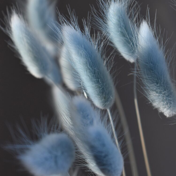 Dmuszek jajowaty jasny niebieski | 40 szt./90 szt.