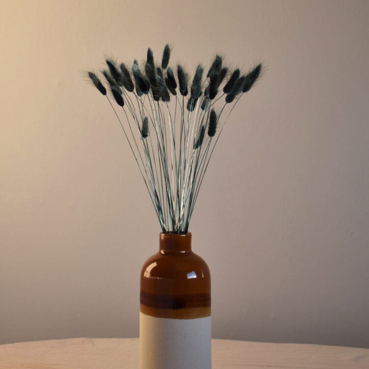 Dmuszek jajowaty czarny | 40 szt./90 szt.