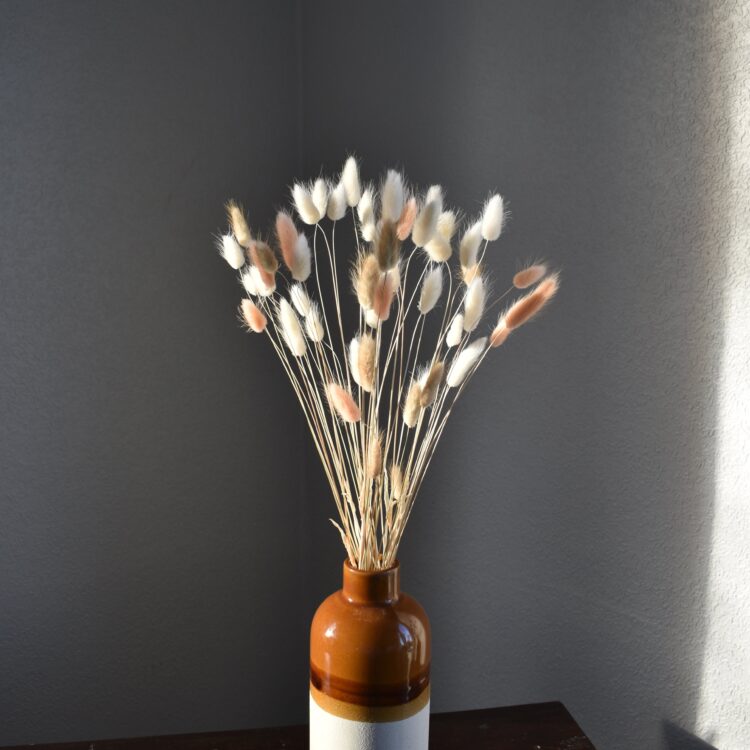 Trójkolorowy dmuszek jajowaty - biały, naturalny, łososiowy | 50 szt.