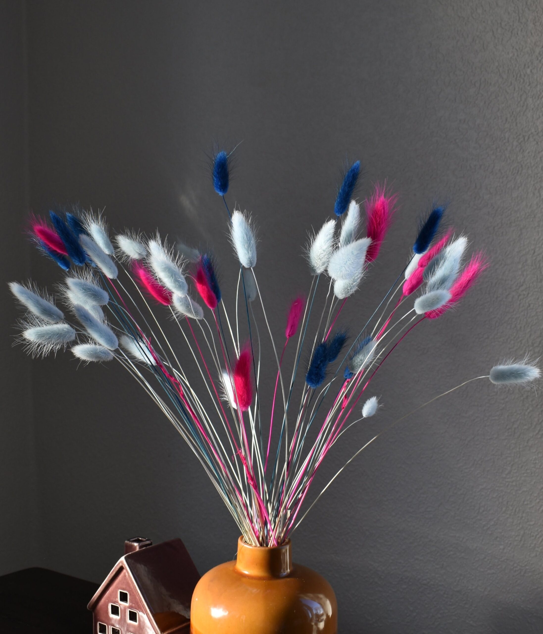 Dmuszek jajowaty trójkolorowy