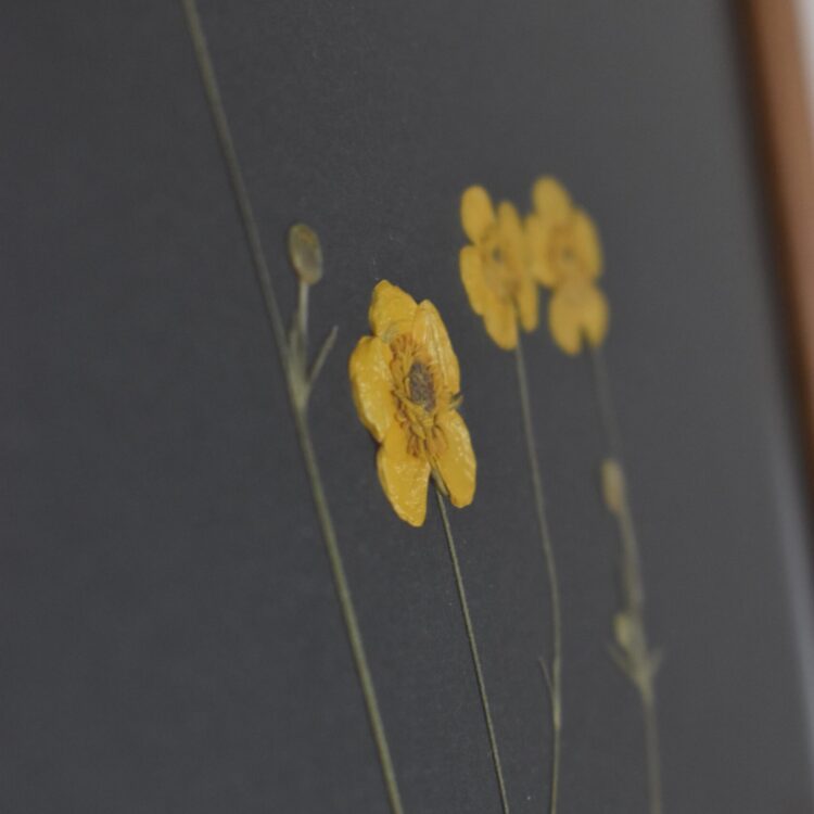 Obrazy z prasowanych kwiatów