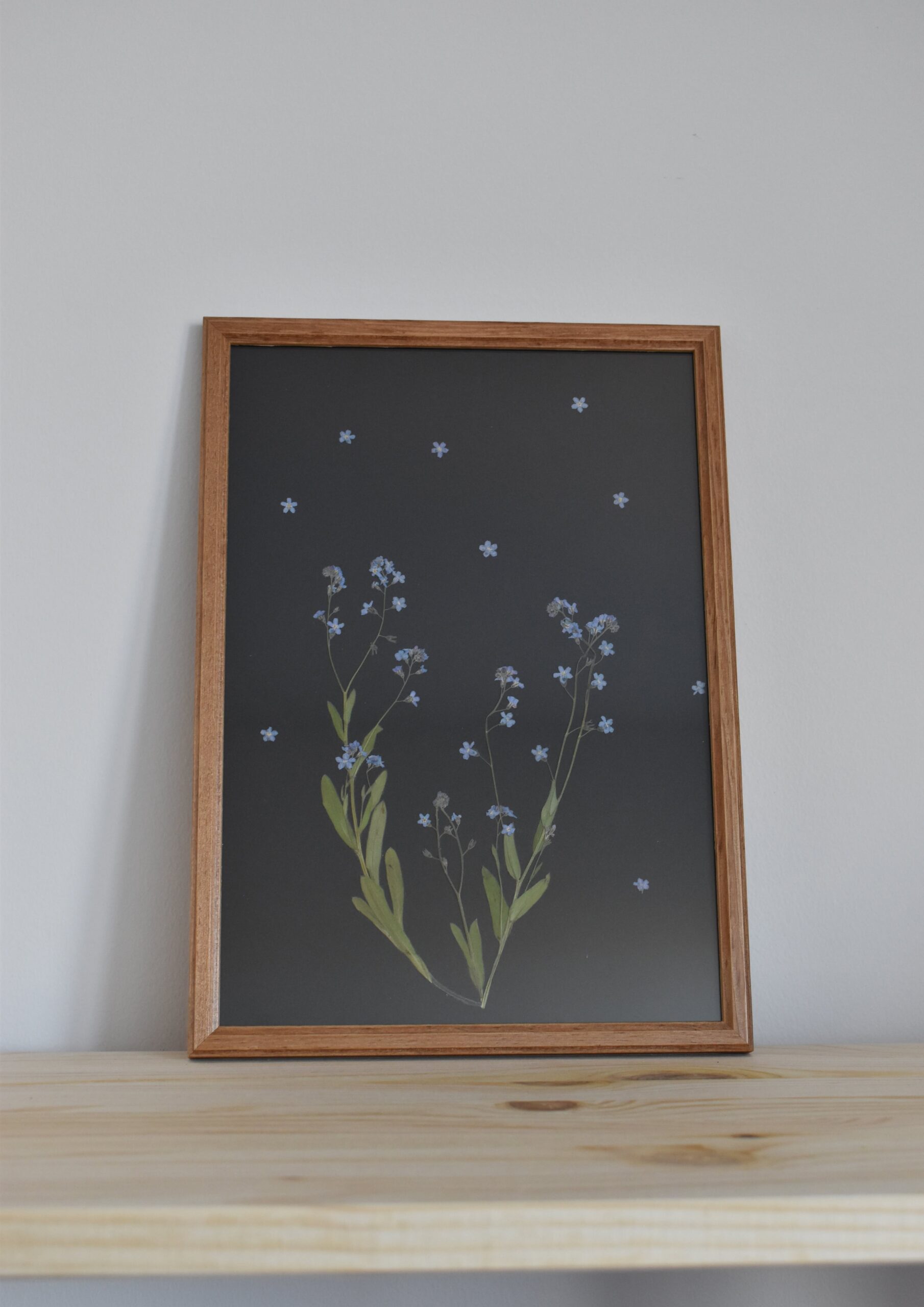 niezapominajki obraz z suszonych niezapominajek