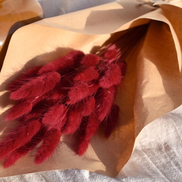 Dmuszek jajowaty bordowy | 40 szt./90 szt.