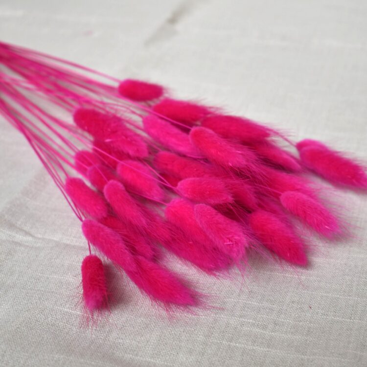 Dmuszek jajowaty fuksja| 40 szt./90 szt.