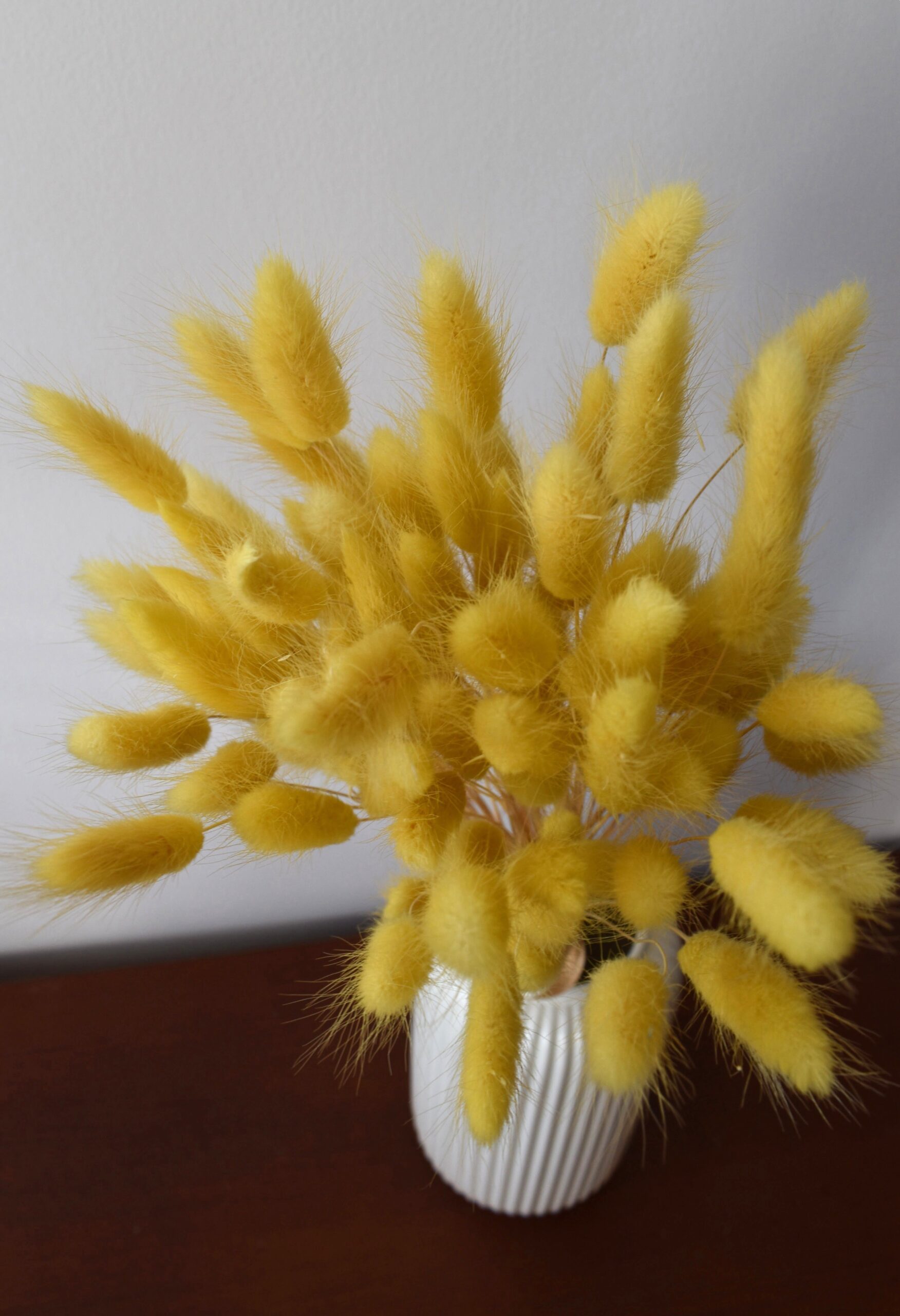 Dmuszek jajowaty cytrynowy | 40 szt./90 szt. - obrazek 2